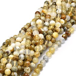 Perles d'opale naturelle brins, ronde, 8mm, Trou: 1mm, Environ 49 pcs/chapelet, 15.35'' (39 cm)