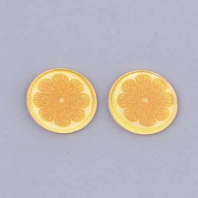 Kunststoff Cabochons&nbsp;LS-KY-T010-31-1