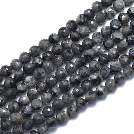 Brins de perles de larvikite naturelles G-K310-A17-6mm-1