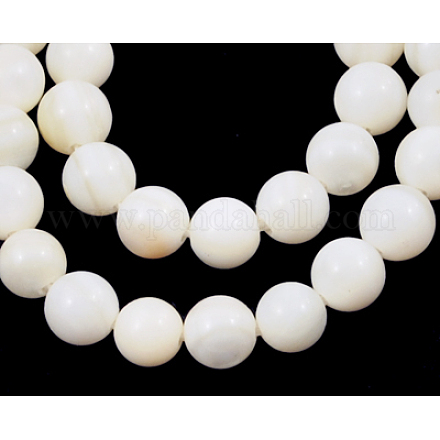 Natural White Shell Beads Strands X-PBB934Y-1