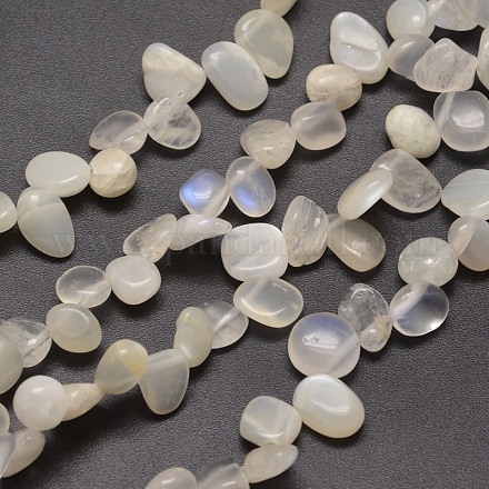 Naturelles Moonstone brins puce de perles G-M204-62-1
