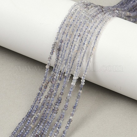 Природные иолит нитей бисера G-F789-02-1