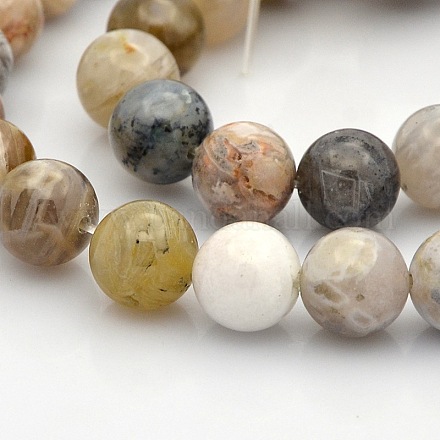 Natural Bamboo Leaf Agate Round Beads Strands G-N0120-12-10mm-1