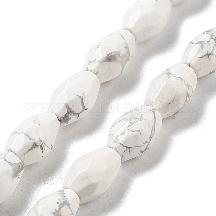 Natürliche Howlith Perlen Stränge G-P520-C16-01-1
