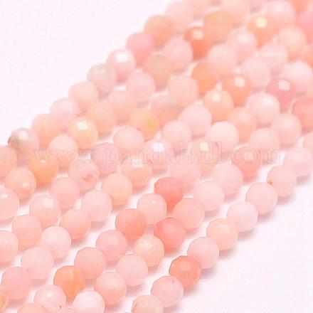 Rosa naturale perline opale fili G-F509-05-4mm-1