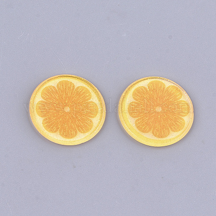 Kunststoff Cabochons&nbsp;LS-KY-T010-31-1