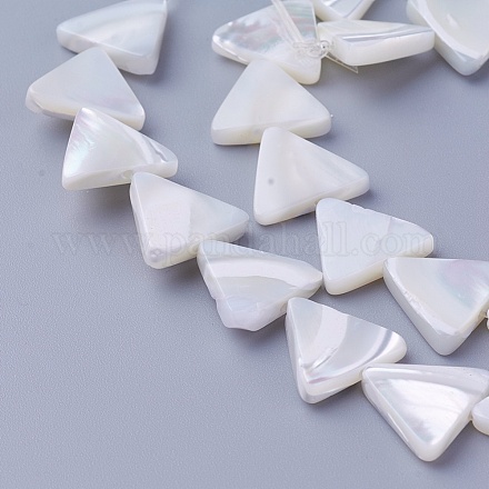 Chapelets de perles de coquillage SSHEL-E571-28A-1
