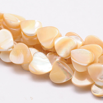 Brins de perles de coeur de coquillage naturel SSHEL-M014-17-1