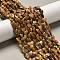Natural Picture Jasper Beads Strands, Heart, 5.5x6~6.5x2.5~3mm, Hole: 0.7mm, about 69~72pcs/strand, 14.88~15.2(37.8~38.6cm)