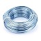 Round Anodized Aluminum Wire, Bendable Metal Craft Wire, for DIY Jewelry Craft Making, Light Sky Blue, 10 Gauge, 2.5mm, 35m/500g(114.8 Feet/500g)