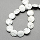 Flat Round Gemstone Natural Howlite Stone Beads Strands G-S110-14mm-21-2