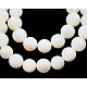 Natural White Shell Beads Strands X-PBB934Y-1