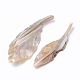 Perles de coquillages naturels d'eau douce SHEL-Q019-009-2