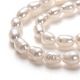Fili di perle di perle d'acqua dolce coltivate naturali PEAR-L033-58-01-2
