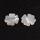 Natural White Shell Mother of Pearl Shell Pendants SSHEL-G014-62-2