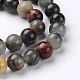 Natural African Bloodstone Beads Strands G-L383-06-12mm-3