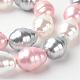 Shell Pearl Bead Strands BSHE-L034-04A-1