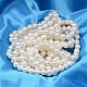 Chapelets de perles ronde de coquillage de couleur AB BSHE-L011-4mm-C001-2