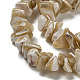 Brins de perles de coquillages naturels de troca SSHEL-H072-09-3