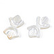 Perles de coquillage blanc naturel SSHEL-S258-105A-4