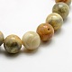 Round Natural Crazy Agate Beads Strands G-P058E-01-2