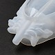 Moldes de silicona para placa de joyería diy de plumas DIY-P074-02-6
