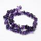 Natural Amethyst Beads Strands G-F521-19-2