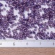 Miyuki Delica Perlen klein X-SEED-J020-DBS0117-4