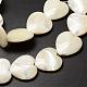 Fili di perle di conchiglia trochid naturale / trochus SSHEL-K012-02-3