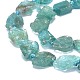 Raw Rough Natural Apatite Beads Strands G-F715-076-3