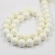 Shell normal de perles blanches de brins BSHE-E002-02-8mm-3