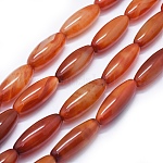 Natural Carnelian/Red Agate Beads Strands, Dyed & Heated, Rice, Orange Red, 37~40x10~17mm, Hole: 2.5~3mm, about 10pcs/strand, 14.9 inch~15.3 inch(38~39cm)