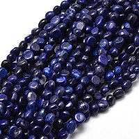 Lapis Lazuli Top Drilled Nugget Gemstone Beads [strand] - My Beads