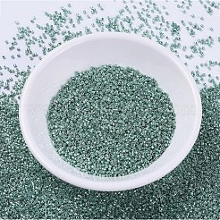 Perles miyuki delica&nbsp;SEED-X0054-DB0416