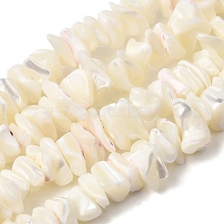 Fili di perline di conchiglia madreperla bianca naturale&nbsp;G-M205-63