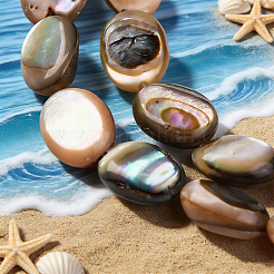 2 hebra de cuentas de concha de paua natural&nbsp;BSHE-PA0001-09
