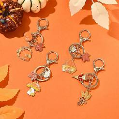 Брелки из сплава эмали&nbsp;KEYC-FS00042-02