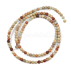 Натуральные бусины из аква терра яшмы&nbsp;G-E444-14B-3mm