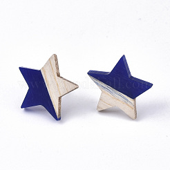 Orecchini in resina e legno&nbsp;EJEW-N017-001A-C01