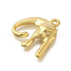 Anhänger aus Edelstahl 304&nbsp;STAS-U027-06G-02