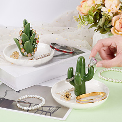 2 шт. 2 стиля фарфоровые тарелки для украшений с изображением кактуса и алоэ DJEW-PH0001-58