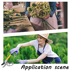 Садовые ножницы из стали sks&nbsp;TOOL-WH0130-11