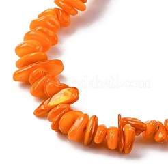 Нити бусин из натуральных пресноводных ракушек BSHE-I016-01C