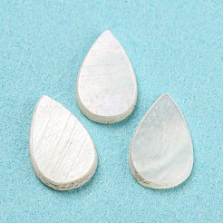 Cabochoni naturali di shell marini&nbsp;SHEL-D079-11