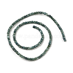 Натуральные пресноводные окрашенные бусы из ракушек&nbsp;SHEL-R100-11A-05