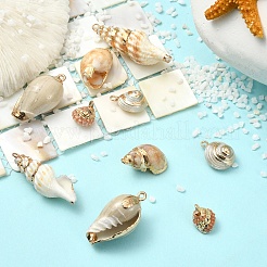 10 pendentif en coquillage naturel mélangé électroplaqué&nbsp;BSHE-YW0001-22