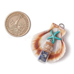 14 шт. 14 стиля бусины из натуральной ракушки-гребешка с подвесками из камня в стеклянной банке или бутылке&nbsp;PALLOY-JF03564