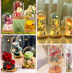 Glasglocken&nbsp;AJEW-BC0010-64A