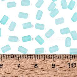 Perline di vetro trasparente satinato fgb&nbsp;SEED-N013-05A-10