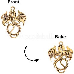 Сплавочные подвески тибетского стиля&nbsp;PH-TIBE-G012-03